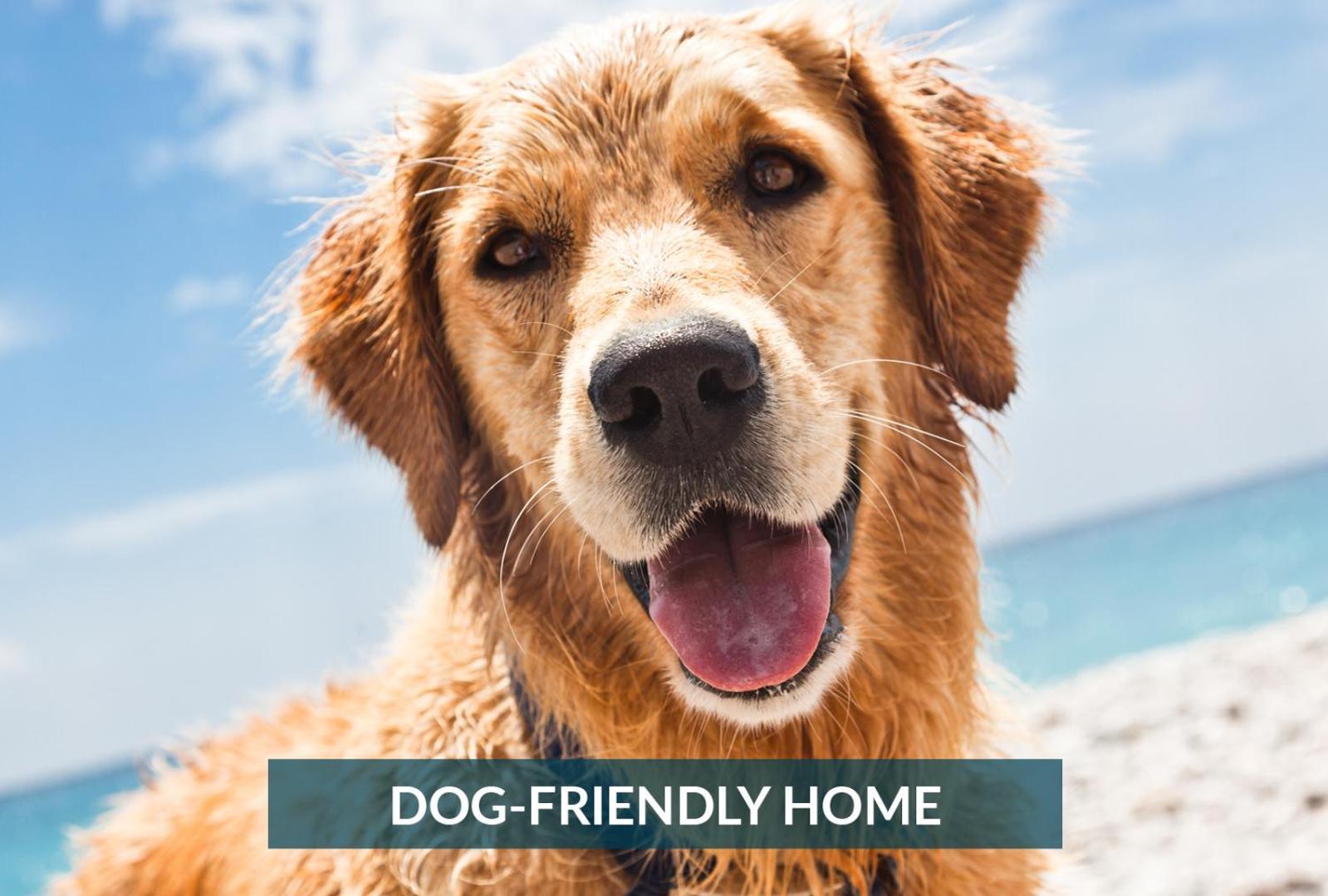 5508 Southern Comfort Dog Friendly Shared Pool Kill Devil Hills Zewnętrze zdjęcie